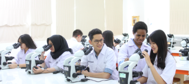 5 Jurusan Kuliah yang di Butuhkan dalam Dunia Pekerjaan